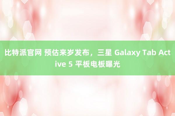 比特派官网 预估来岁发布，三星 Galaxy Tab Active 5 平板电板曝光