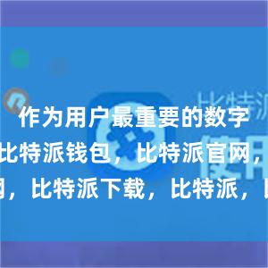 作为用户最重要的数字资产之一比特派钱包，比特派官网，比特派下载，比特派，比特派APP