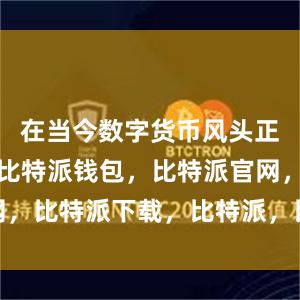 在当今数字货币风头正劲的时代比特派钱包，比特派官网，比特派下载，比特派，比特派APP