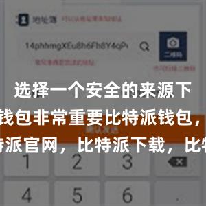 选择一个安全的来源下载比特派钱包非常重要比特派钱包，比特派官网，比特派下载，比特派，比特派APP